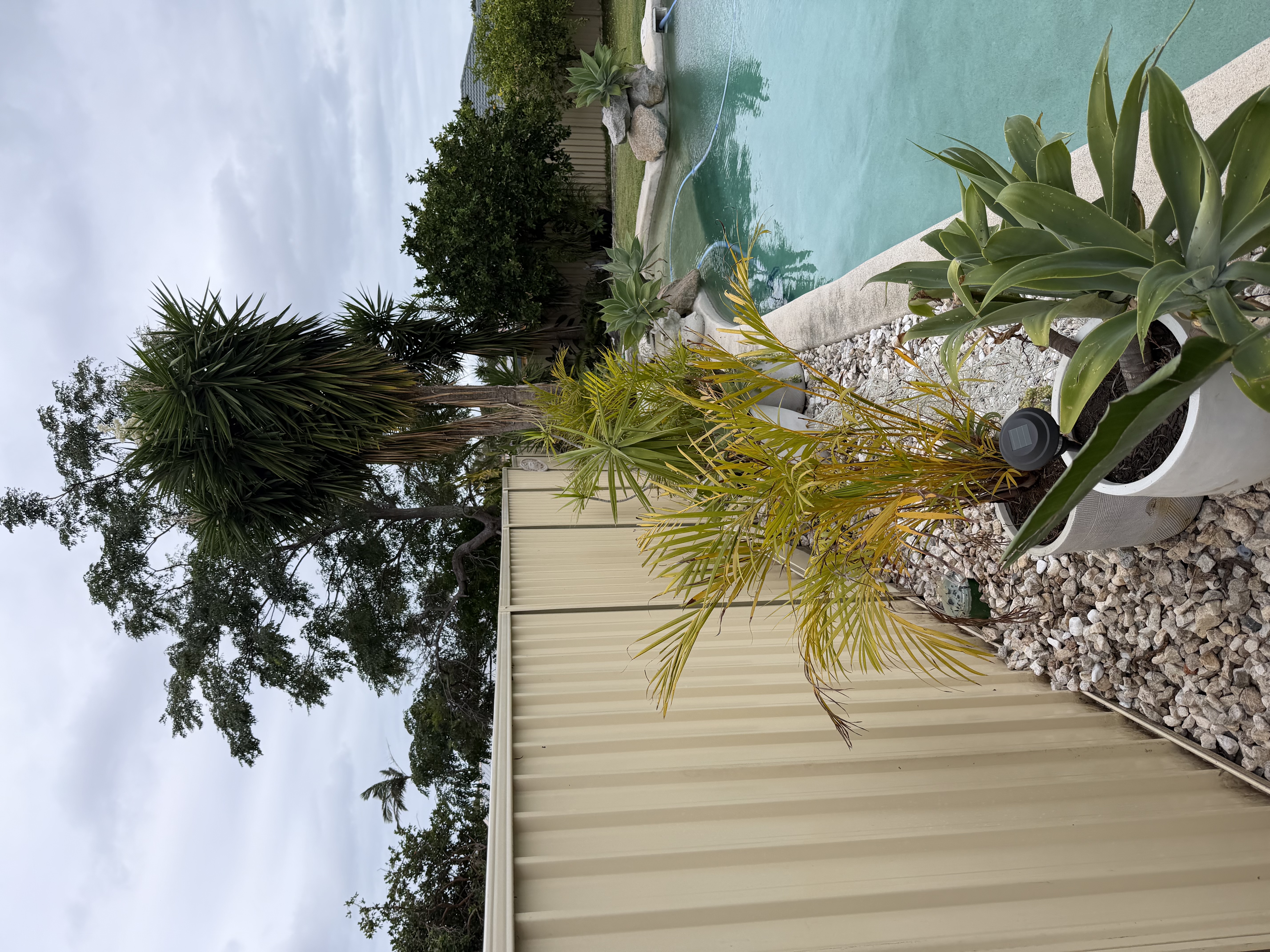 Colourbond Fence